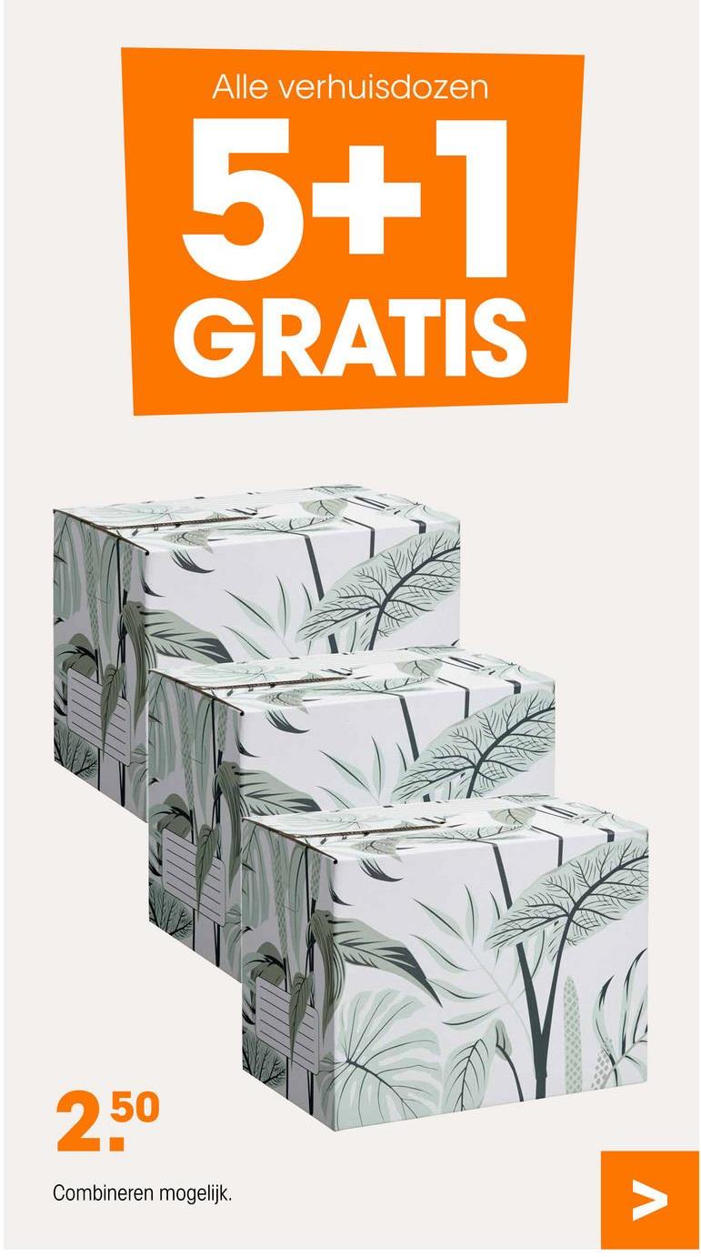 2,50
Combineren mogelijk.
Alle verhuisdozen
5+1
GRATIS
V