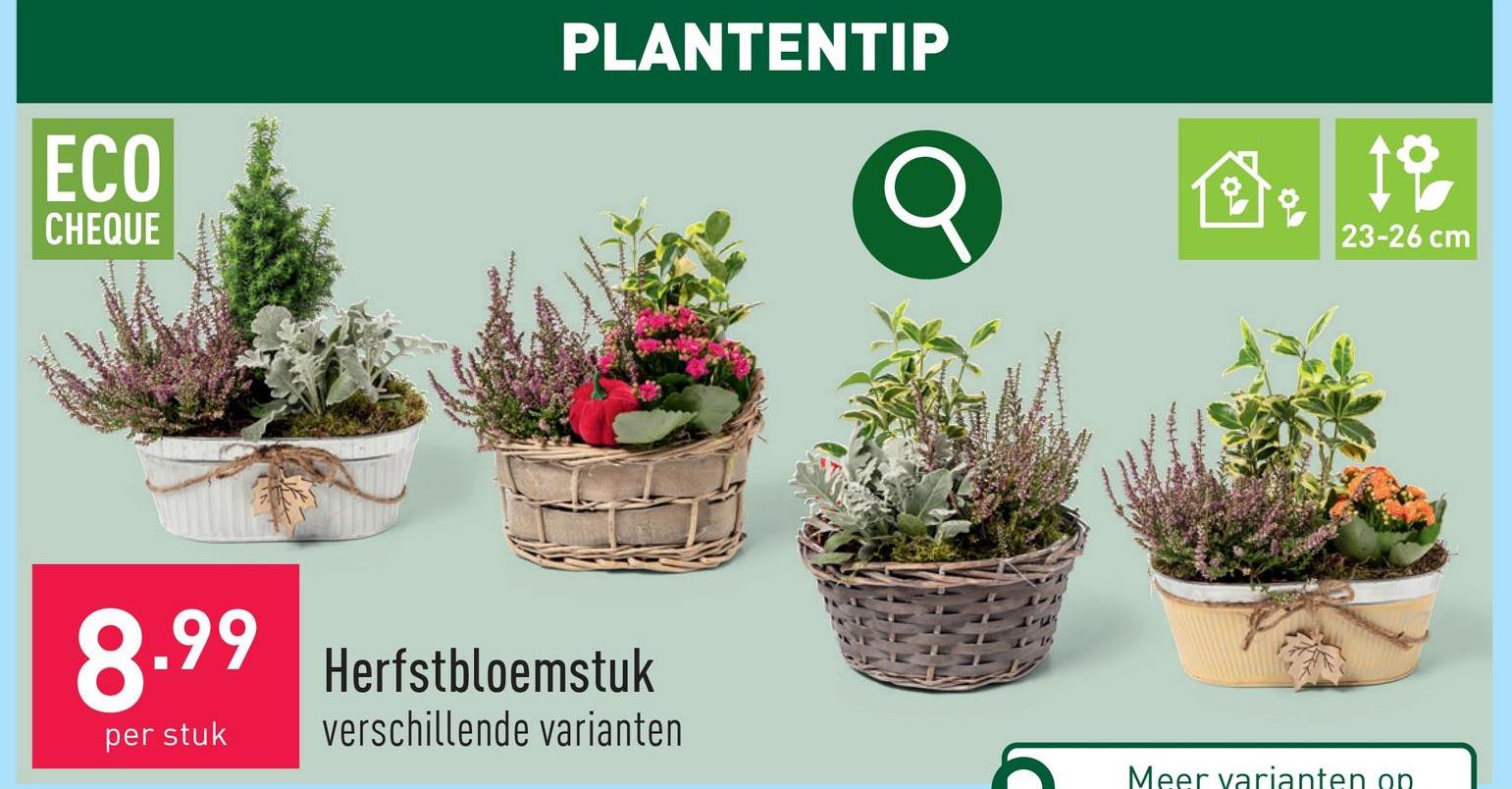 Herfstbloemstuk keuze uit verschillende variantendiameter: 23-26 cmhalfzon1 x per week water gevenbinnen- en buitenplantoorsprong: Nederland