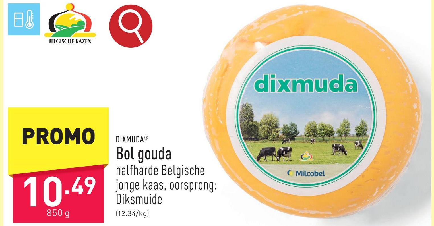 Bol gouda halfharde Belgische jonge kaas, oorsprong: de polders van het West-Vlaamse Diksmuide