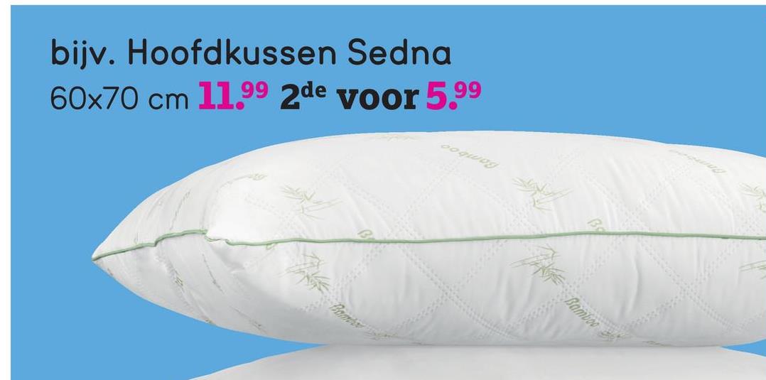 Hoofdkussen Sedna - 60x70 cm Hoofdkussen Sedna is een zacht en comfortabel synthetisch kussen. Dit kussen is gemaakt van 100% polyester (vulling 650 gram) en heeft een tijk van 100% microfiber.