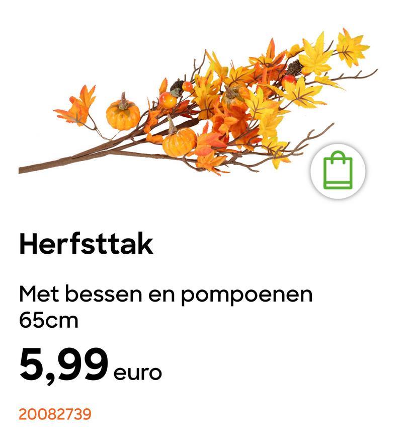 Herfsttak
Met bessen en pompoenen
65cm
5,99 eur
20082739