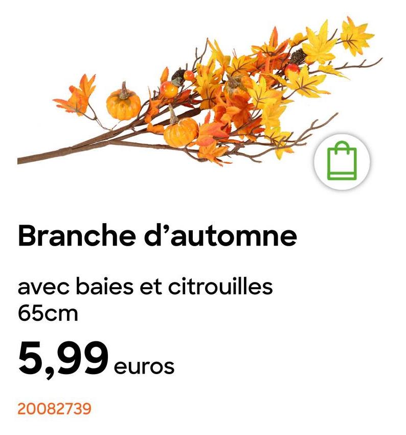 Branche d'automne
avec baies et citrouilles
65cm
5,99 euros
20082739