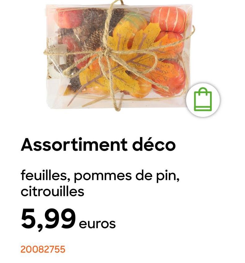 Assortiment déco
feuilles, pommes de pin,
citrouilles
5,99 eur
20082755
euros