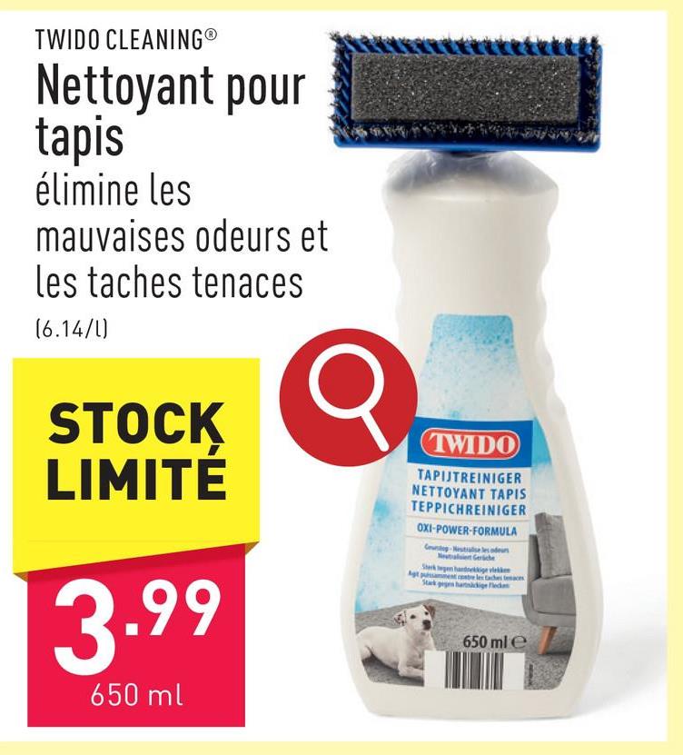 Nettoyant pour tapis élimine les mauvaises odeurs et les taches tenaces