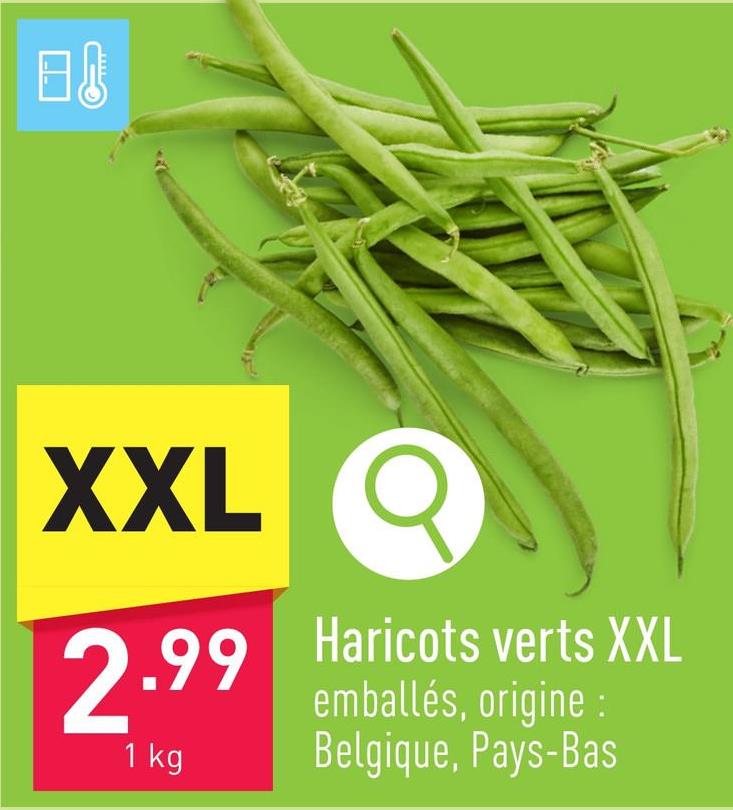 Haricots verts XXL emballés, origine : Belgique, Pays-Bas