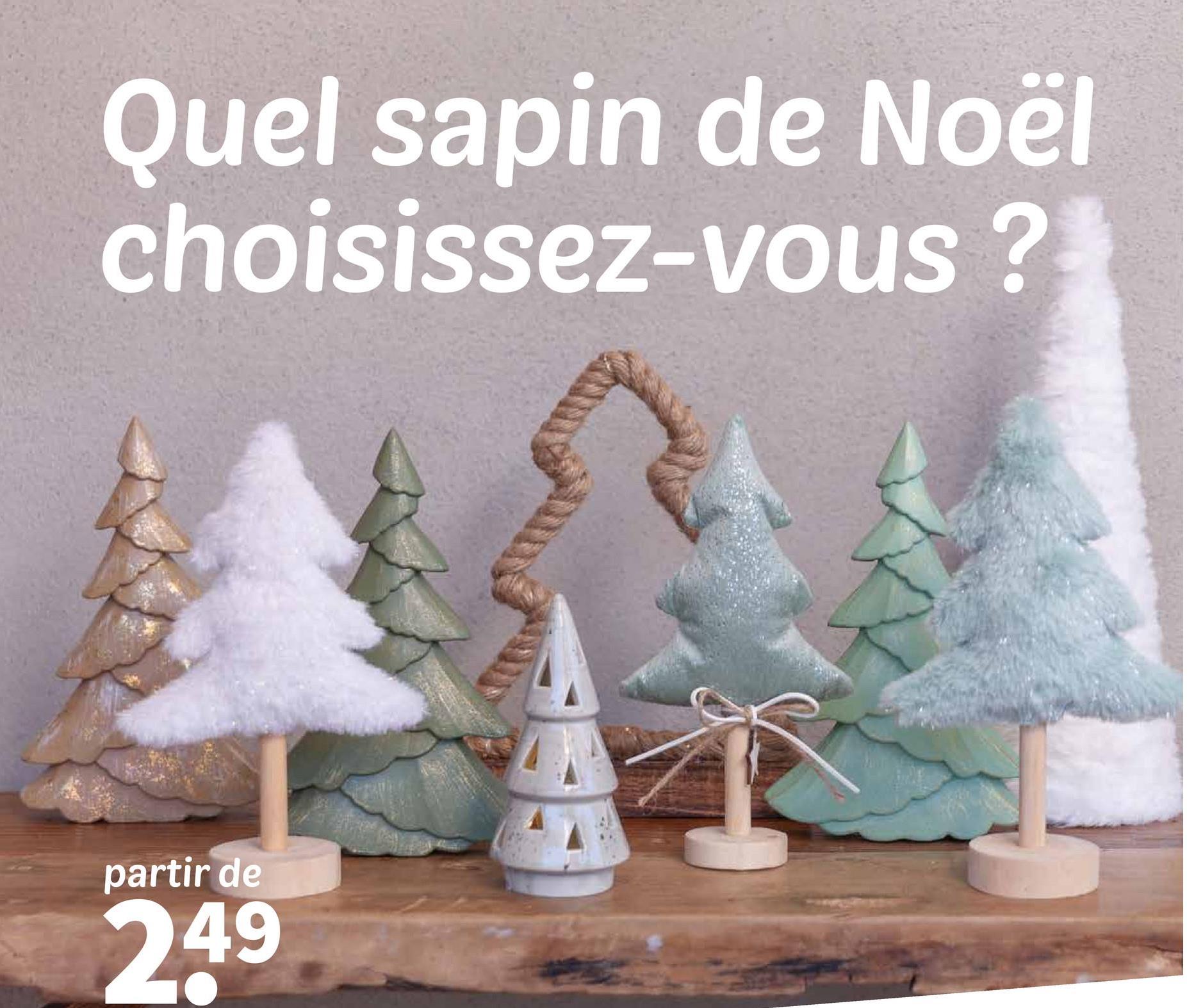 Quel sapin de Noël
choisissez-vous?
partir de
249