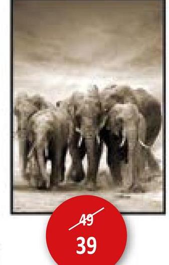 Print op canvas Etosha 80x120cm Wanddecoratie Kaders & Prints