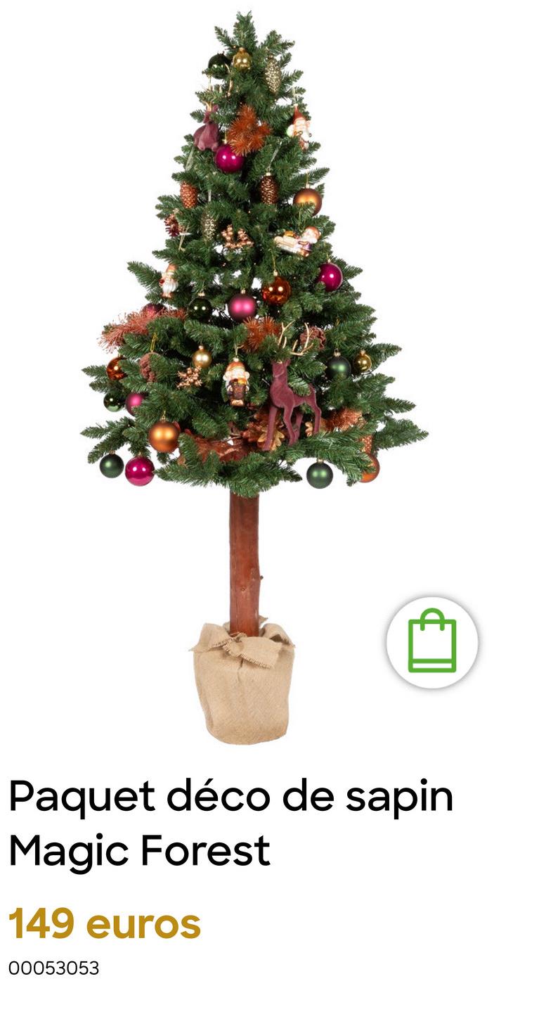 Paquet déco de sapin
Magic Forest
149 euros
00053053
B