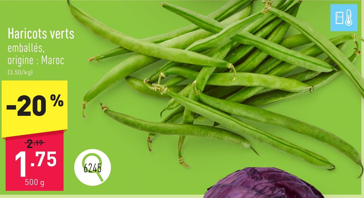 Haricots verts emballés, origine : Maroc