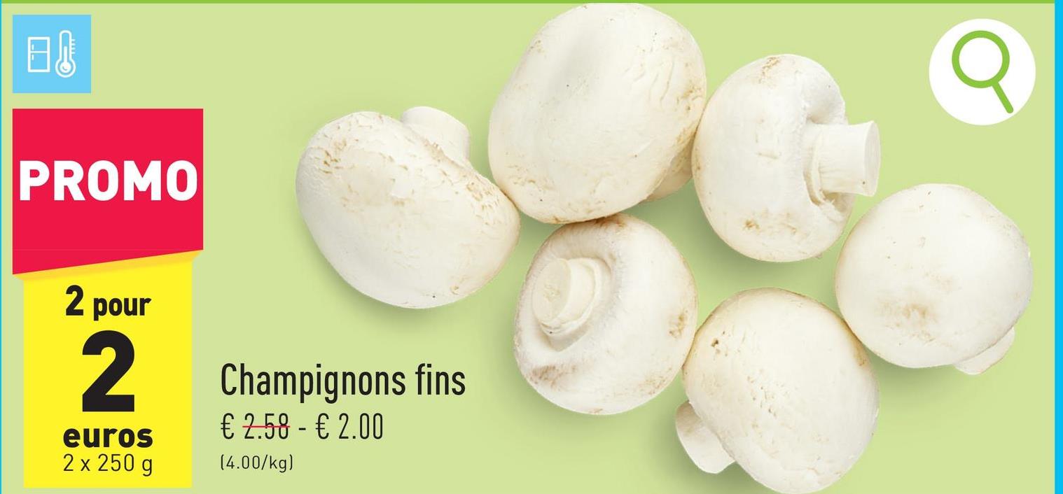 Champignons fins emballés, origine : Belgique, Pays-Bas