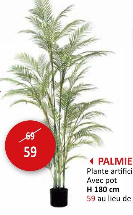 Plante artificielle Palmier H180cm Plantes Artificielles Plantes