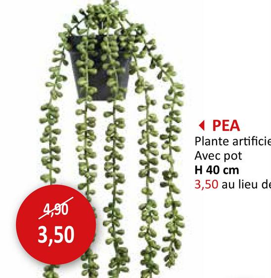 Plante artificielle suspendue Pea H40cm Plantes Artificielles Plantes