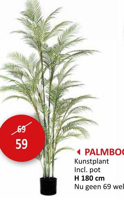 Kunstplant Palmboom H180cm Kunstplanten Planten