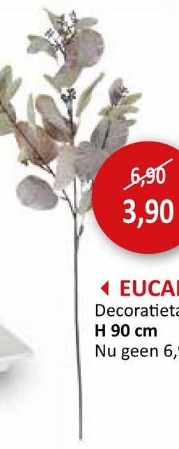 Decoratietak Eucalyptus H90cm Kunsttakken Planten