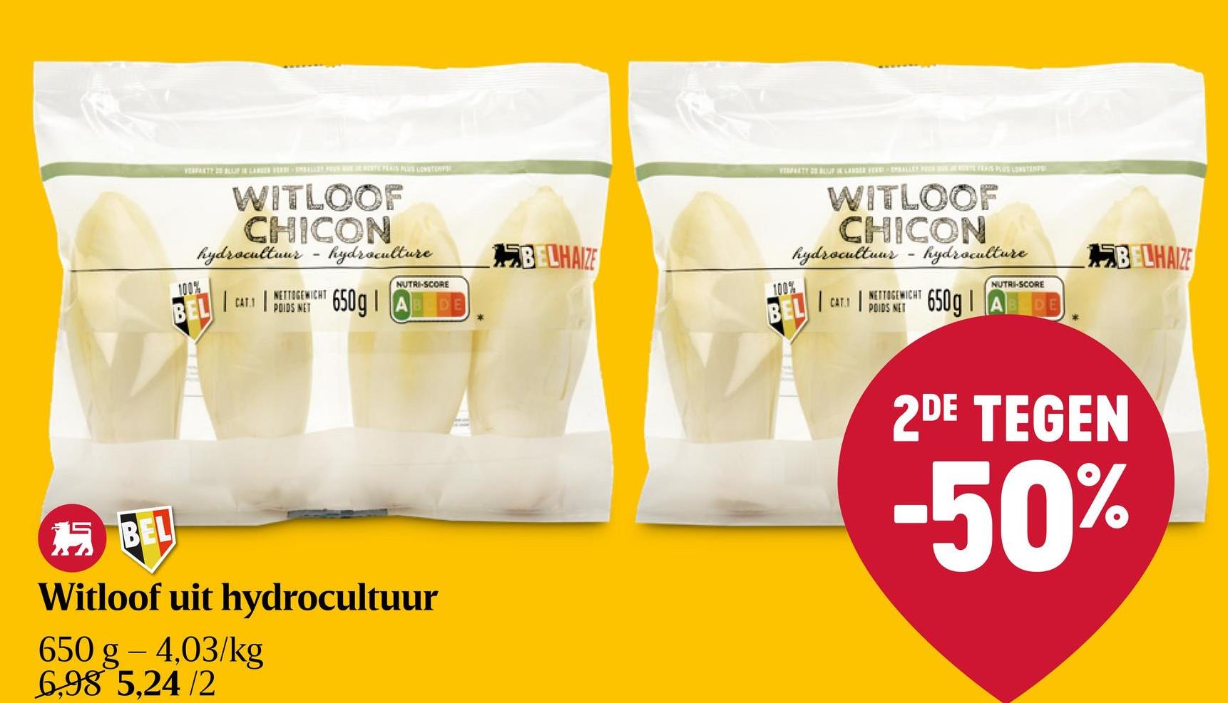 Witloof | Hydrocultuur Witloof hydrocultuur 650G