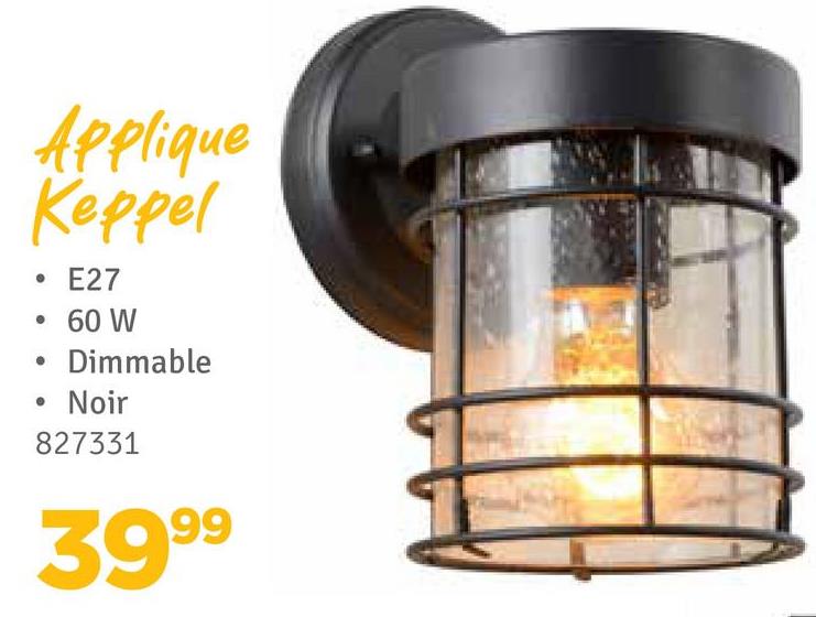 Applique
Keppel
•
E27
60 W
Dimmable
Noir
827331
3999