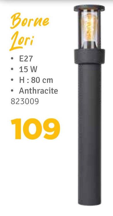 Borne
Zori
E27
• 15 W
H: 80 cm
Anthracite
823009
109