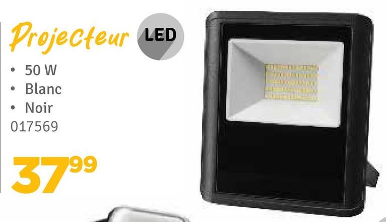 Projecteur LED
• 50 W
Blanc
Noir
017569
3799