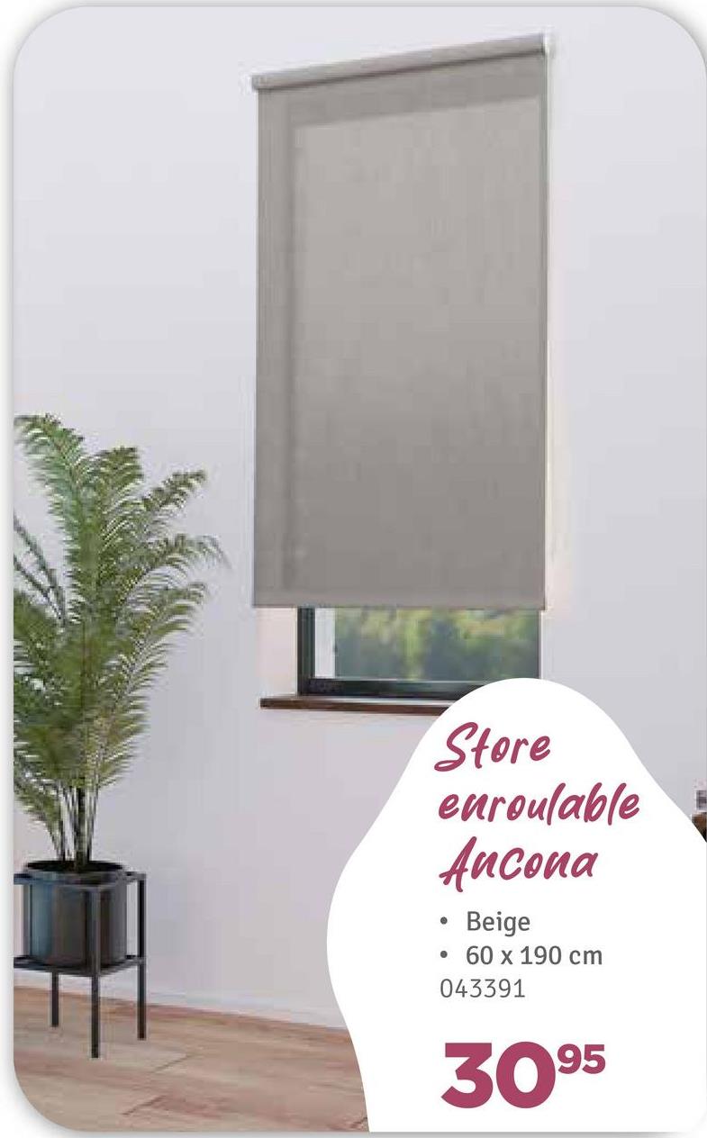 Store
euroulable
Ancona
•
Beige
•
60 x 190 cm
043391
3095