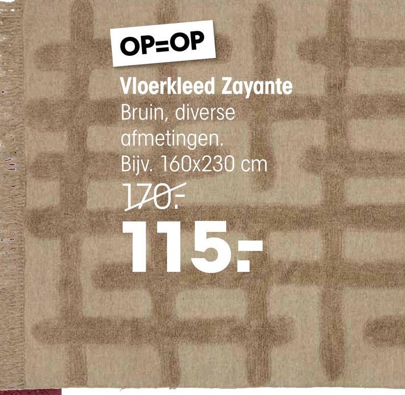 Vloerkleed Zayante 160x230 cm zand <p>Vloerkleed Zayante is een vloerkleed met relief door hoog en laagpolige vlakken, van 160x230 centimeter. Met zijn rechthoekige vorm en natuurlijke kleur past het mooi in elke ruimte.</p> <p>Zayante is gemaakt van 100% polyester, wat zorgt voor een