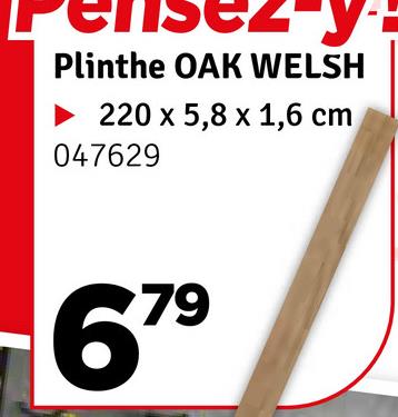 Plinthe OAK WELSH
220 x 5,8 x 1,6 cm
047629
679