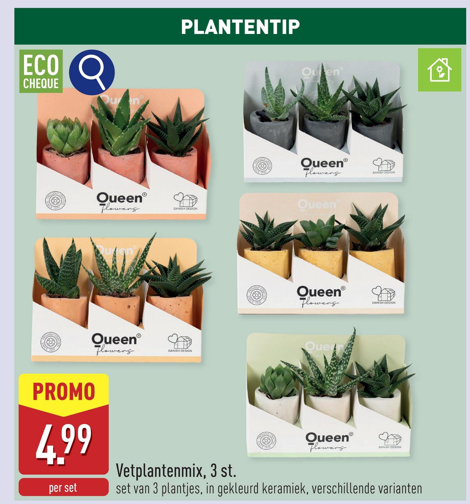 ECO Q
CHEQUE
Quen
ROUDIE
CRA
INCE
D
QueenⓇ
Flowers
PLANTENTIP
QueenⓇ
Flowers
DANISH DESIGN
ED
Ou enⓇ
QueenⓇ
Flowers
Queen
QueenⓇ
Flowers
Que
DANISH DESIGN
DANISH DESIGN
DANISH DESIGN
PROMO
4.99
per set
Vetplantenmix, 3 st.
QueenⓇ
Flowers
DANISH DESIGN
set van 3 plantjes, in gekleurd keramiek, verschillende varianten