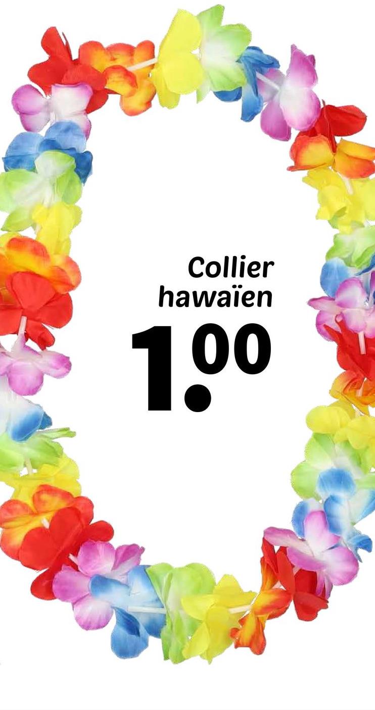 Collier
hawaïen
100