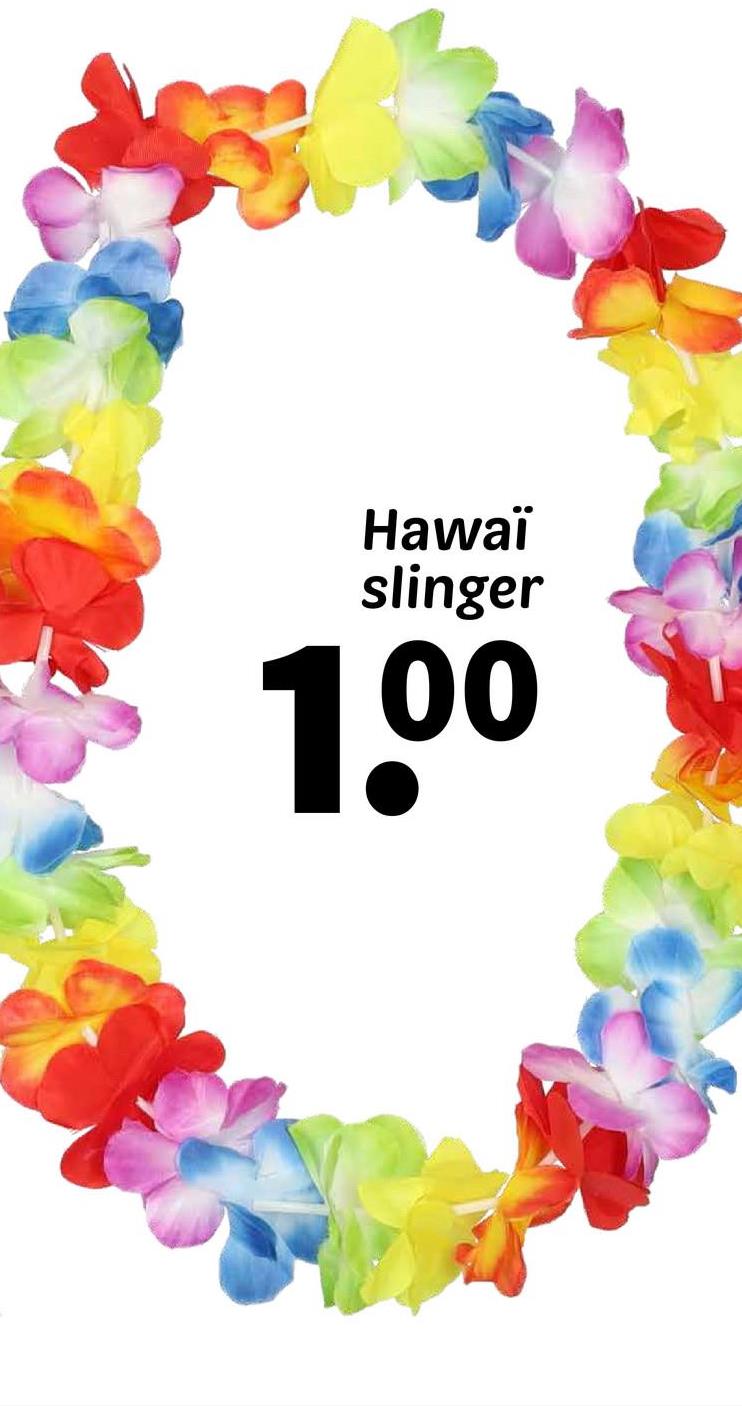 Hawaï
slinger
1.00