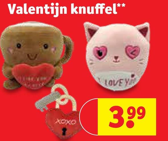 Valentijn knuffel**
LOVE Y
3.99