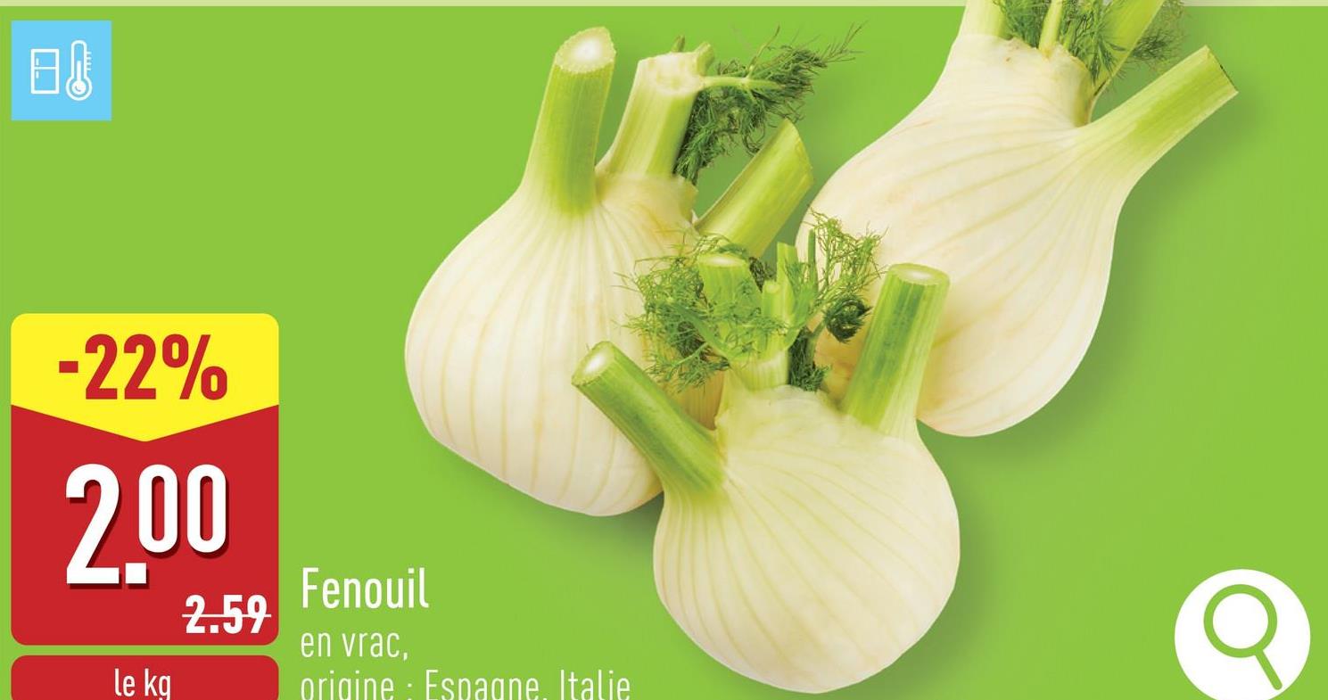 Fenouil en vrac, origine : Espagne, Italie