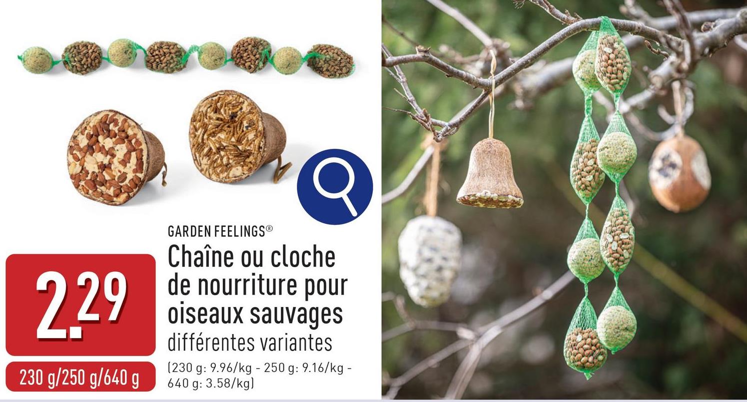 Chaîne ou cloche de nourriture pour oiseaux sauvages choix entre différentes variantes