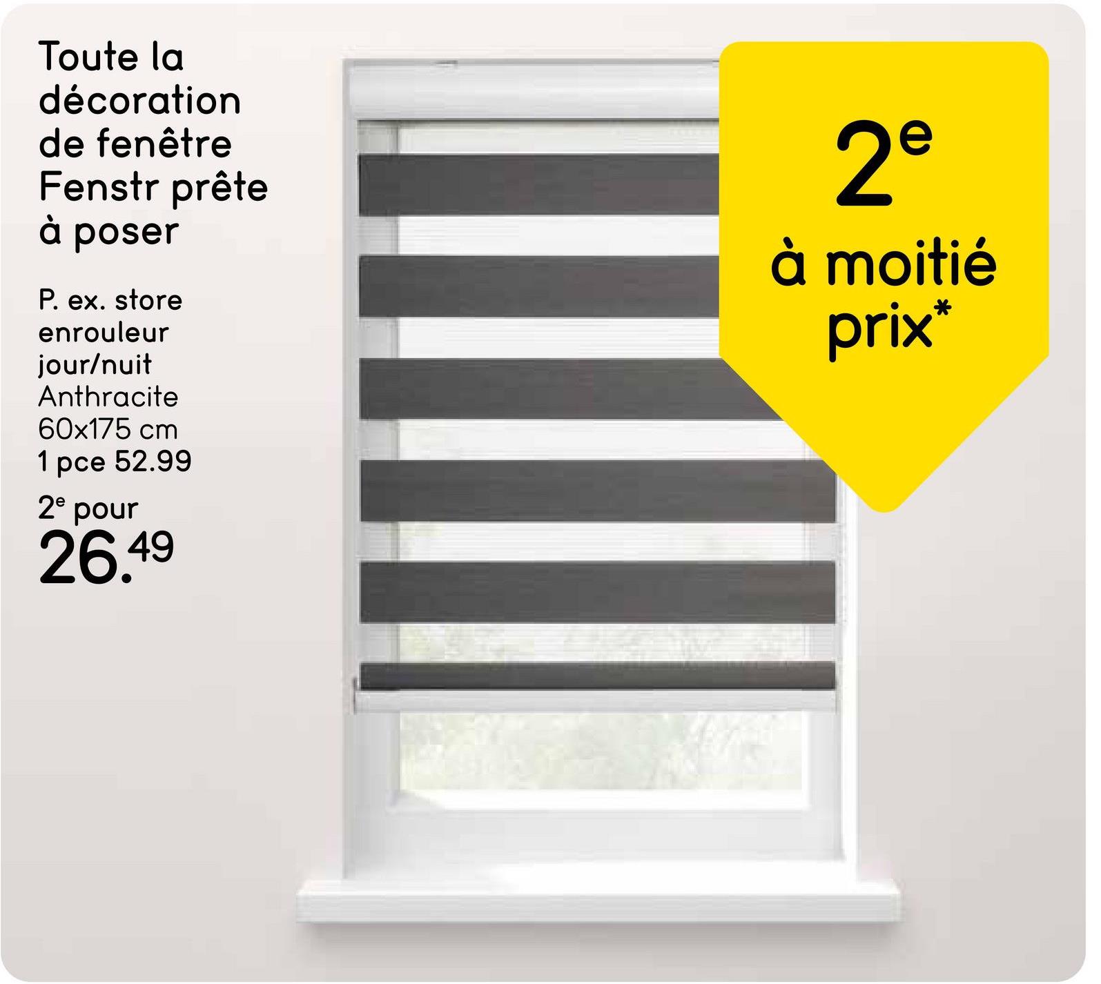 Fenstr store enrouleur jour/nuit - anthracite - 60x175 cm