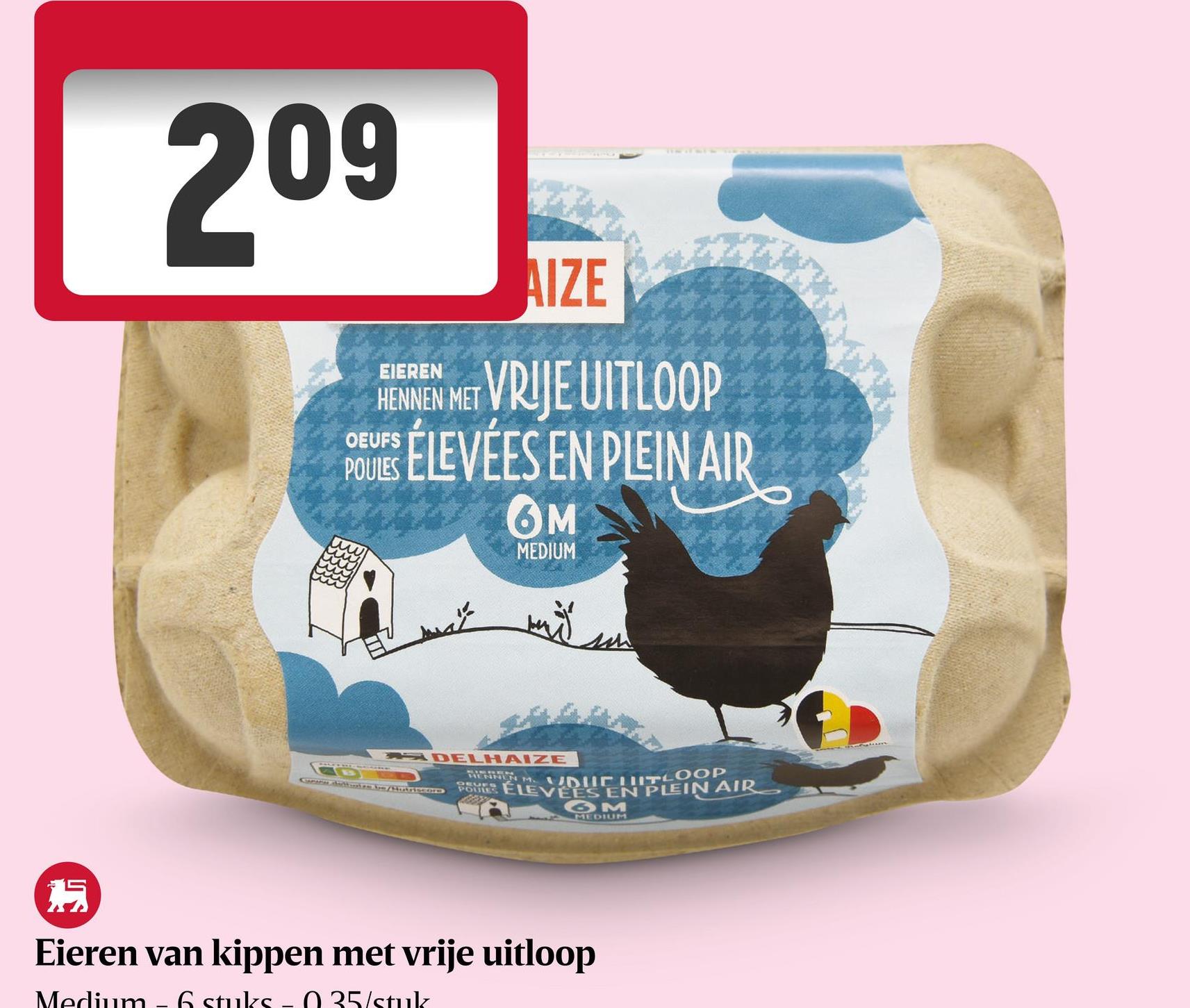 Eieren | Medium | Vrije uitloop Eieren van kippen met vrije uitloop | Medium | 6 Stuks