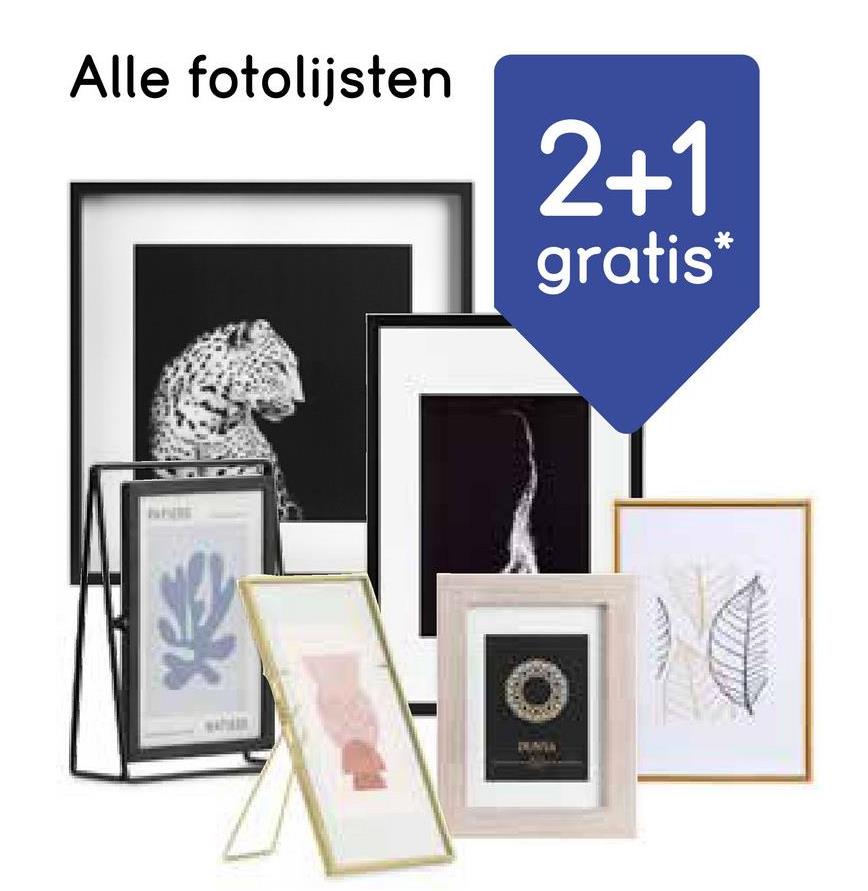 Alle fotolijsten
2+1
gratis*