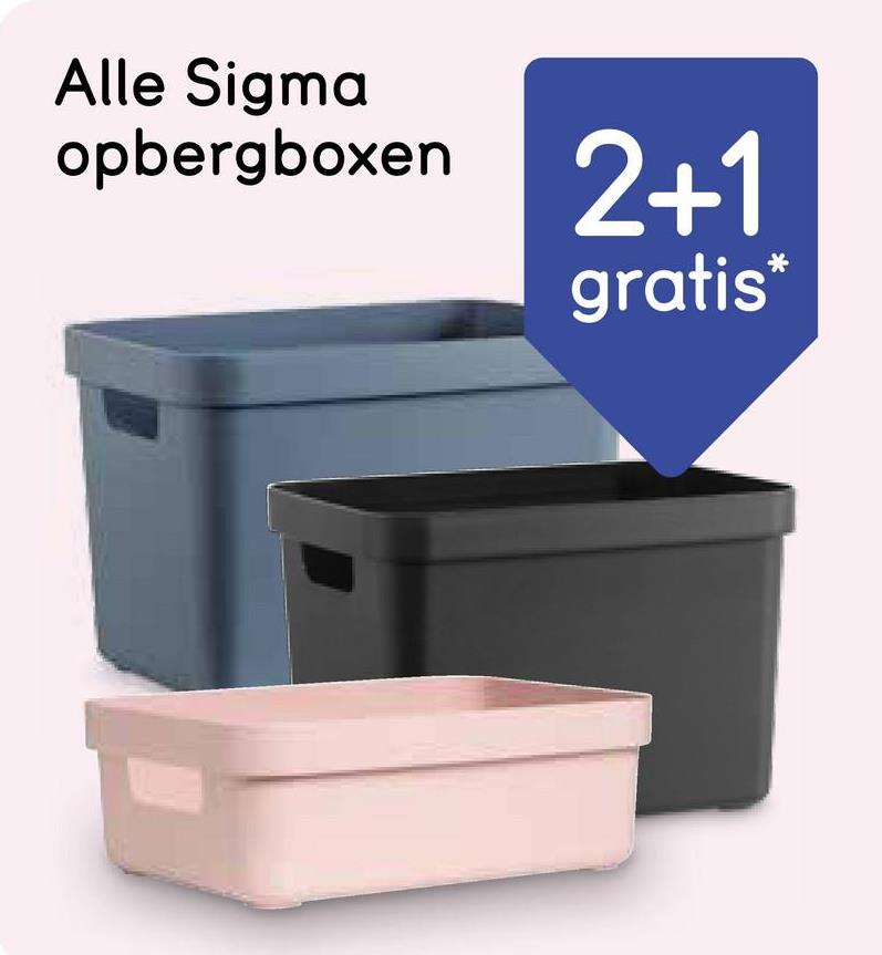 Alle Sigma
opbergboxen
2+1
gratis*