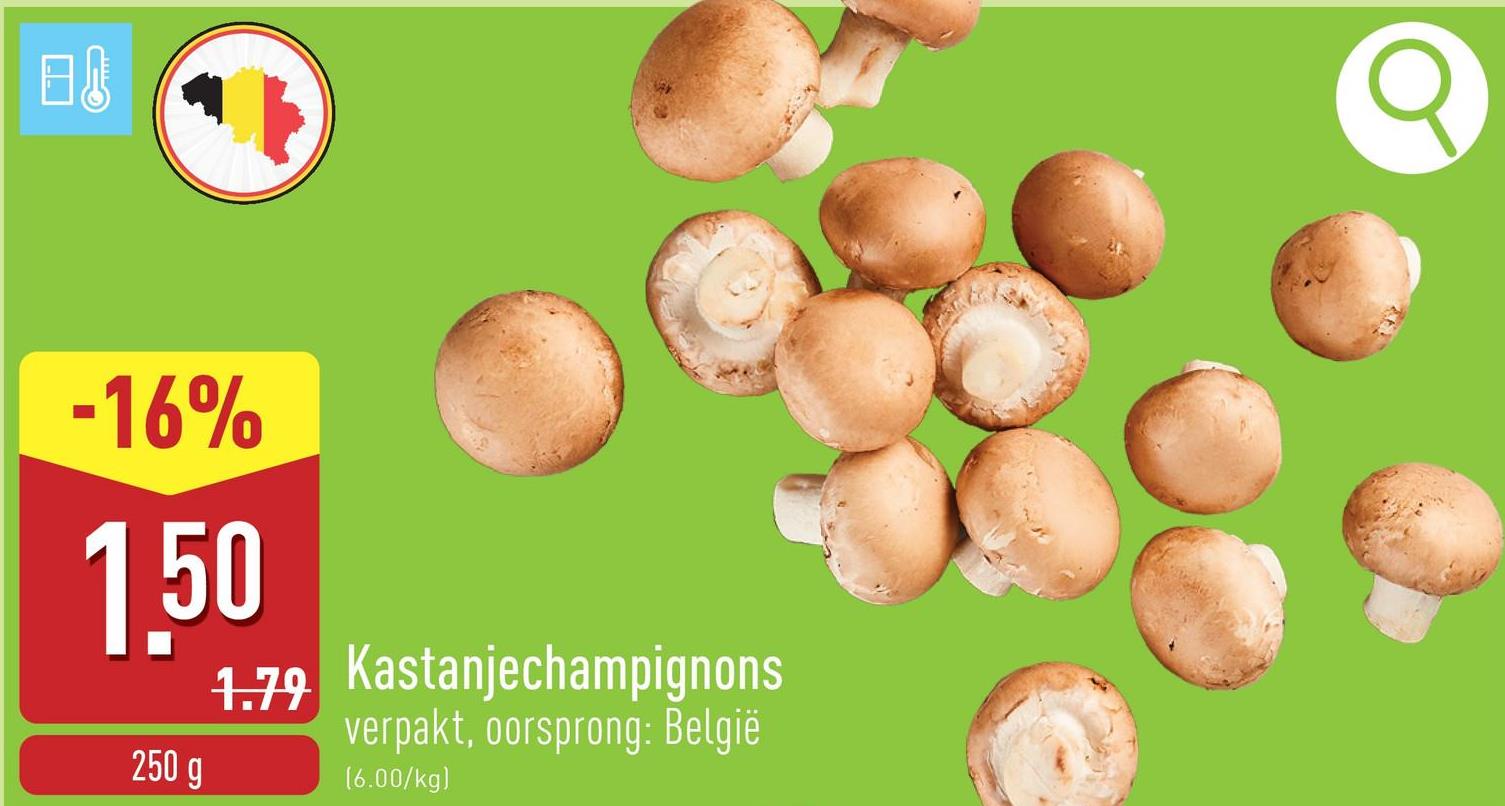 Kastanjechampignons verpakt, oorsprong: België