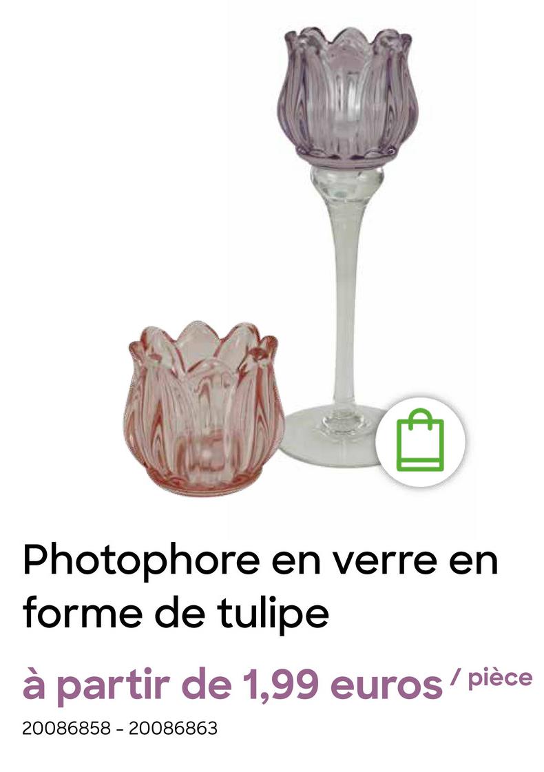 Photophore en verre en
forme de tulipe
partir de 1,99 euros/pièce
20086858 - 20086863