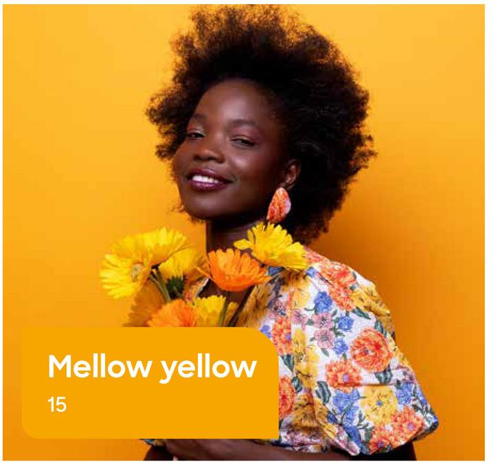 Mellow yellow
15