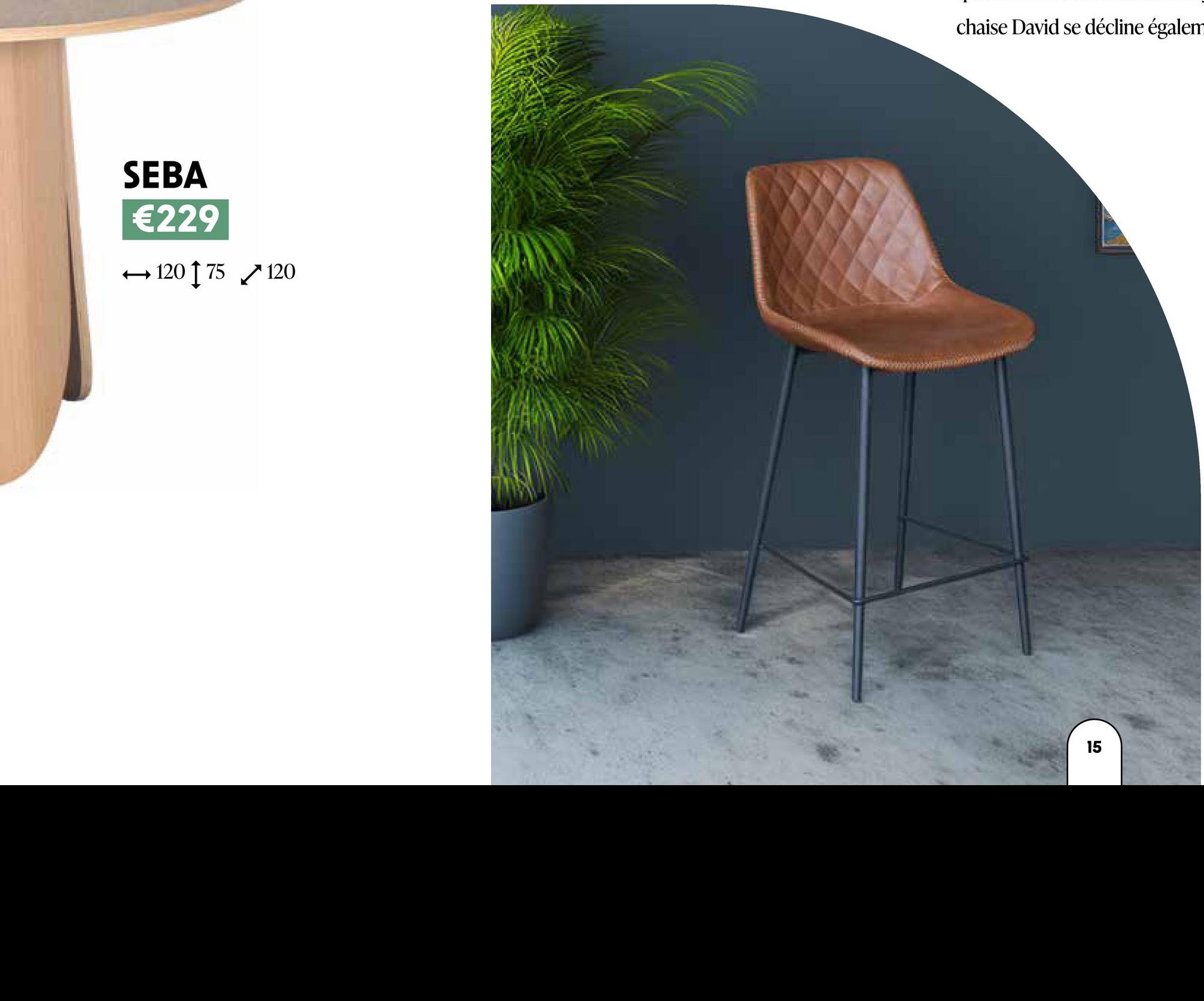 SEBA
€229
-> 120 75 120
chaise David se décline égalem
15