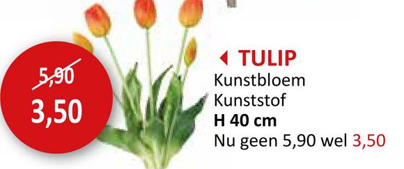 5,90
3,50
◄ TULIP
Kunstbloem
Kunststof
H 40 cm
Nu geen 5,90 wel 3,50