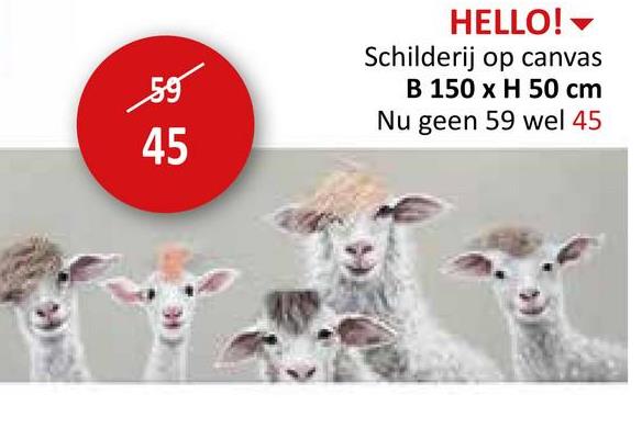 59
45
HELLO!
Schilderij op canvas
B 150 x H 50 cm
Nu geen 59 wel 45