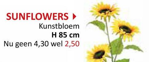 SUNFLOWERS ▸
Kunstbloem
H 85 cm
Nu geen 4,30 wel 2,50