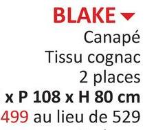 BLAKE
Canapé
Tissu cognac
2 places
x P 108 x H 80 cm
499 au lieu de 529