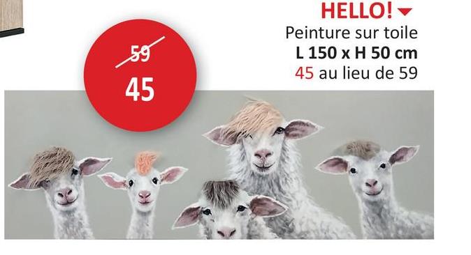 59
45
HELLO!
Peinture sur toile
L 150 x H 50 cm
45 au lieu de 59