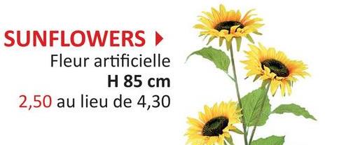 SUNFLOWERS ►
Fleur artificielle
H 85 cm
2,50 au lieu de 4,30