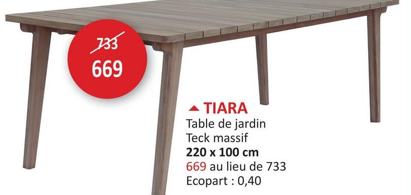 733
669
TIARA
Table de jardin
Teck massif
220 x 100 cm
669 au lieu de 733
Ecopart: 0,40