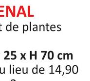 ENAL
Ide plantes
25 x H 70 cm
u lieu de 14,90