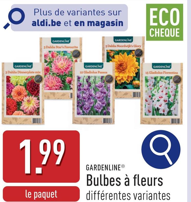 Plus de variantes sur
aldi.be et en magasin
GARDENLINE
3 Dahlia Star's Favourite
GARDENLINE
3 Dahlin Noordwijk's Glory
ECO
CHEQUE
GARDENLINE
3 Dahlia Dinnerplate mix
GARDENLINE
12 Gladiolus Passos
GARDENLINE
15 Gladiolus Fiorentina
1.99
le paquet
GARDENLINE®
Bulbes à fleurs
différentes variantes