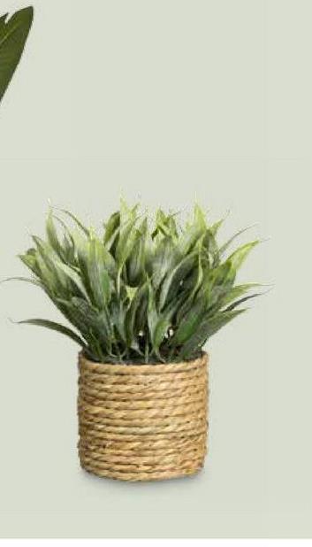 Plante artificielle dans panier - verte - 17 cm