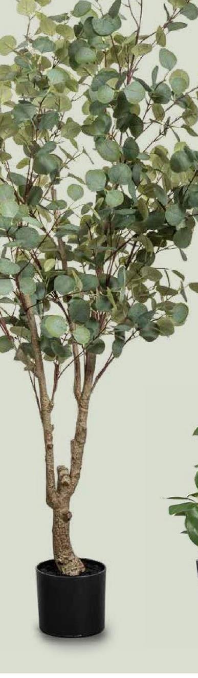 Plante artificielle Eucalyptus dans pot - verte - 180 cm